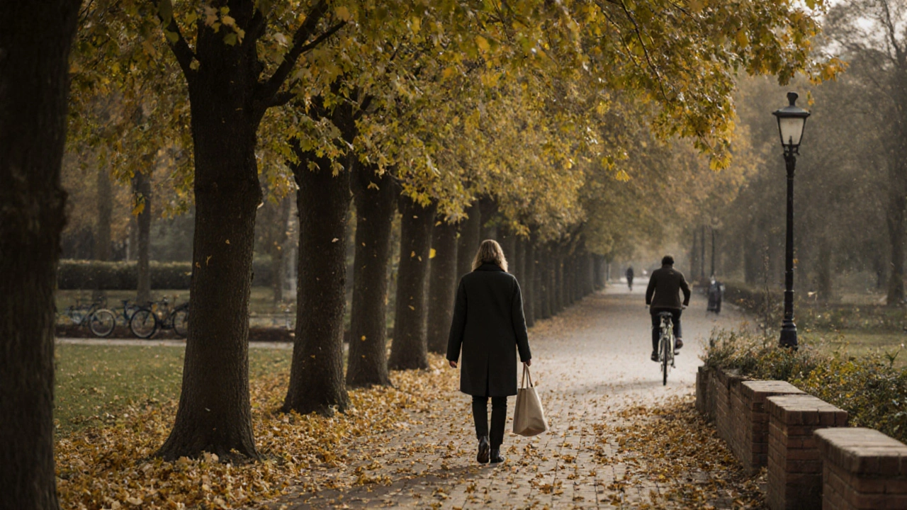 Person walking peacefully through English Garden in autumn, trees and path in background.